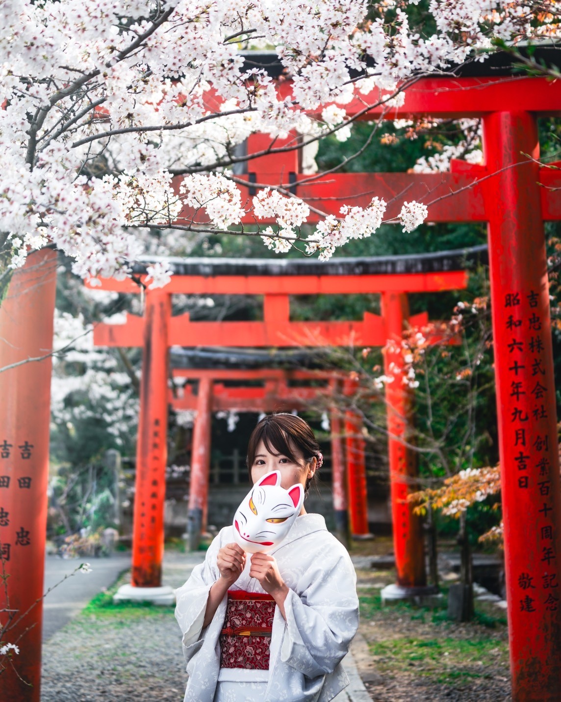 鳥居桜